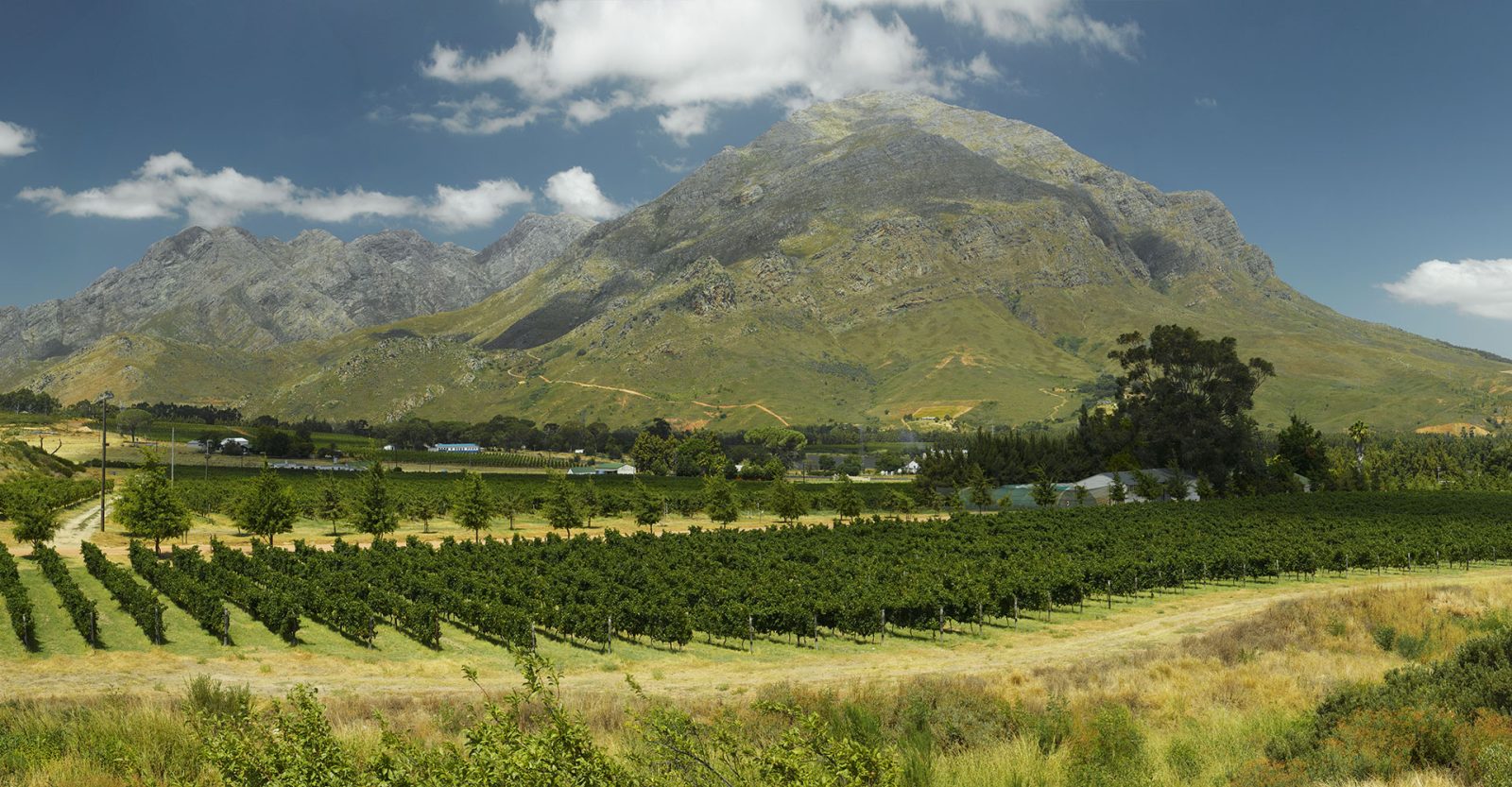 Waverley Hills Cellar & Restaurant