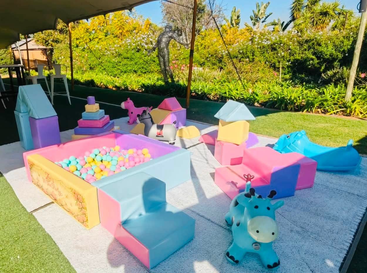 Kiddies Theme Parties