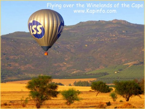 Wineland Ballooning