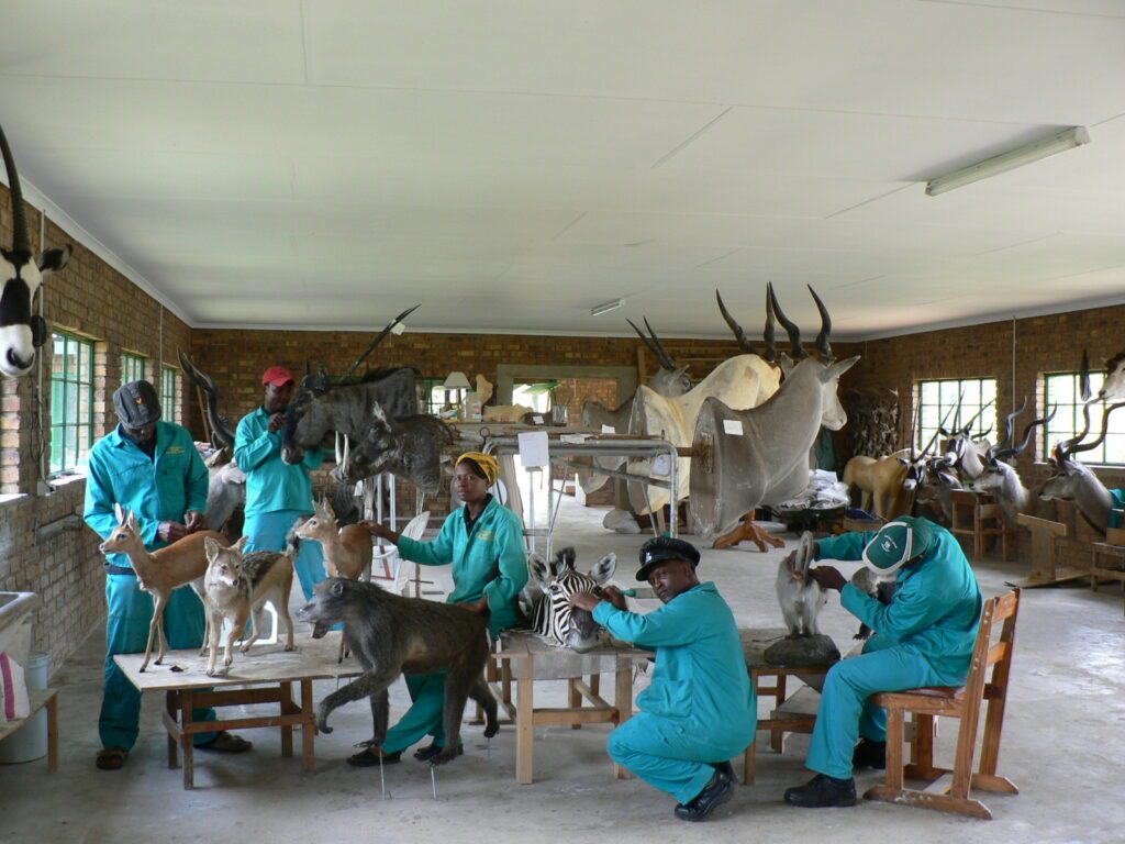 Trophy Service - Tannery - Taxidermy Studio