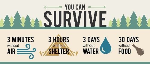 The Survivalist