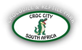 Croc City Crocodile & Reptile Park
