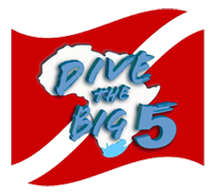 Dive the Big 5
