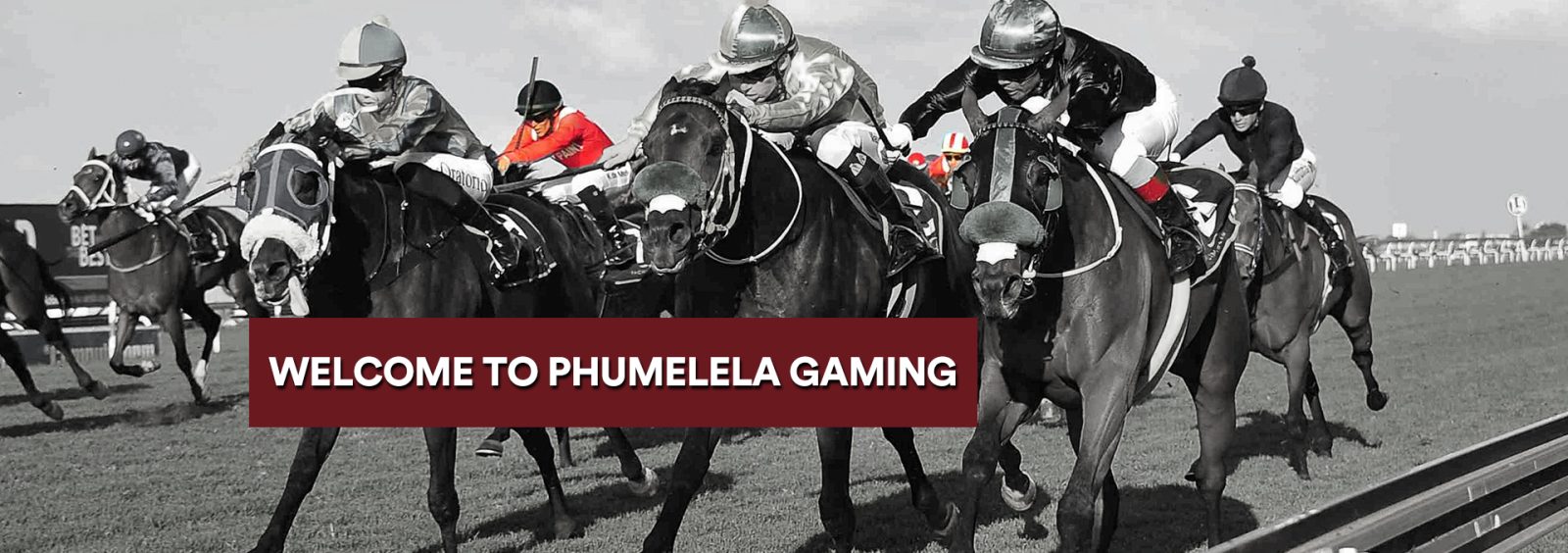 Turffontein Racecourse