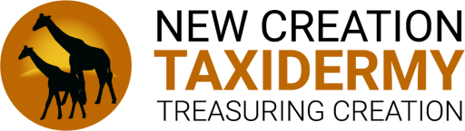 New Creation Taxidermy