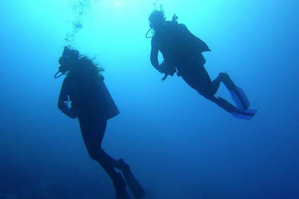 Pro Dive