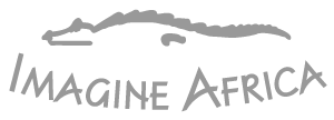 Imagine Africa Safaris