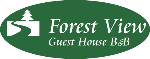 Forest View Guesthouse B&B