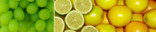 ARUBA EXPORTERS (Pty) Ltd