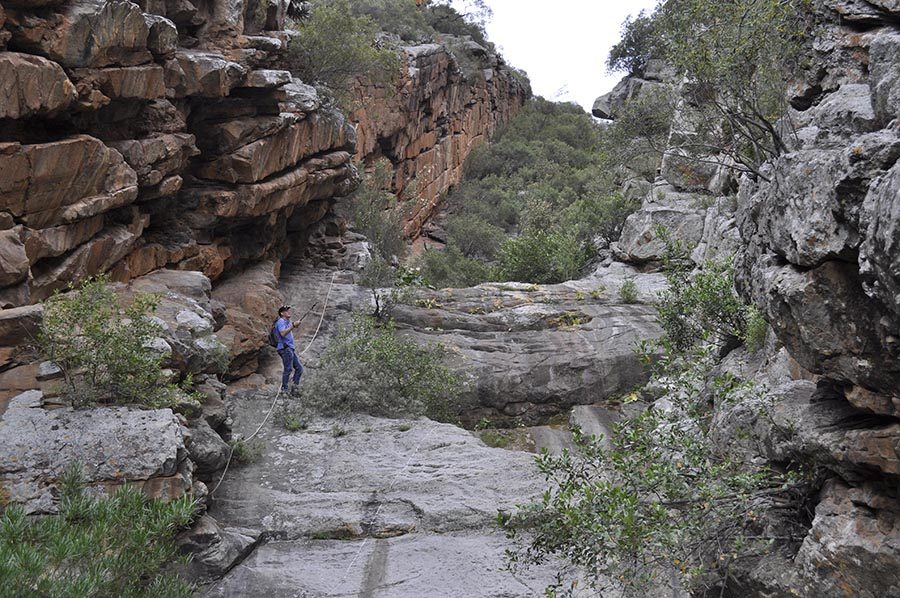 Rietfontein Guest Farm