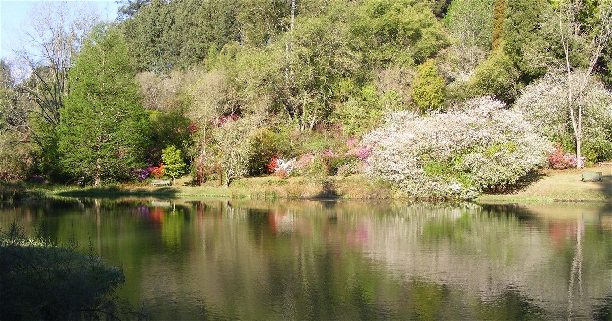 Cheerio Trout Fishing Lodge