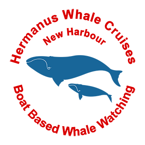 Hermanus Whale Cruises