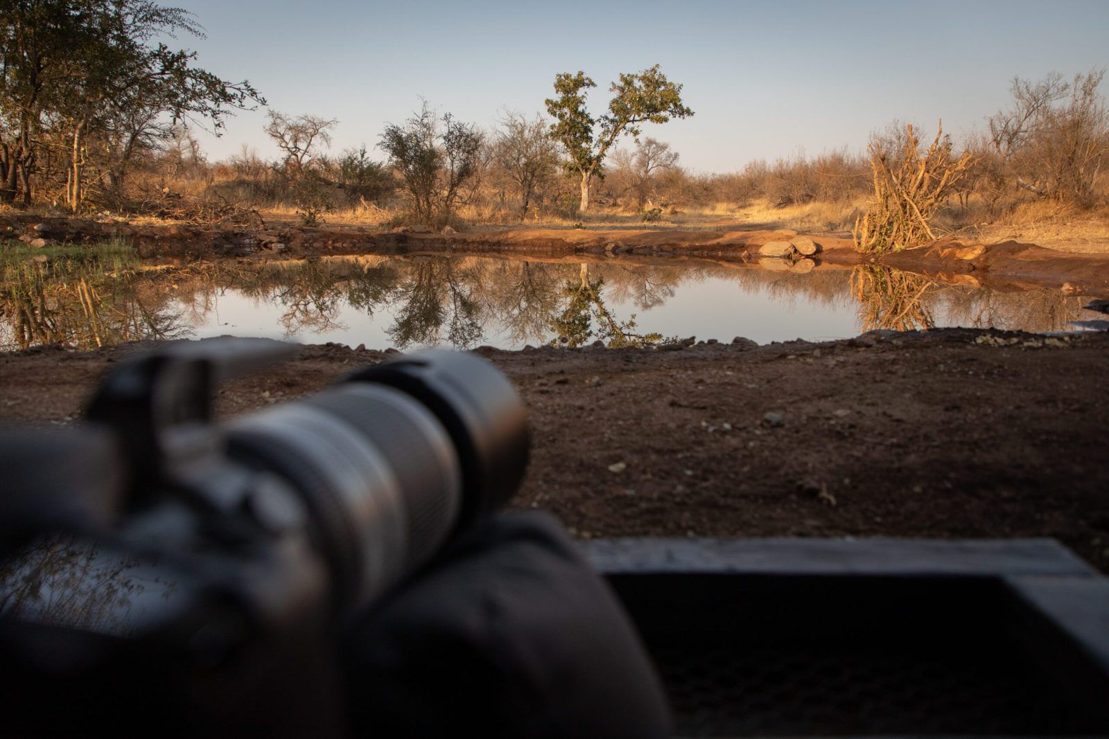 Antares Bush Camp & Safaris