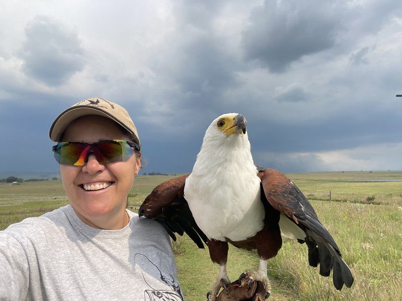 Dullstroom Bird Of Prey & Rehabilitation Centre