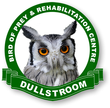 Dullstroom Bird Of Prey & Rehabilitation Centre
