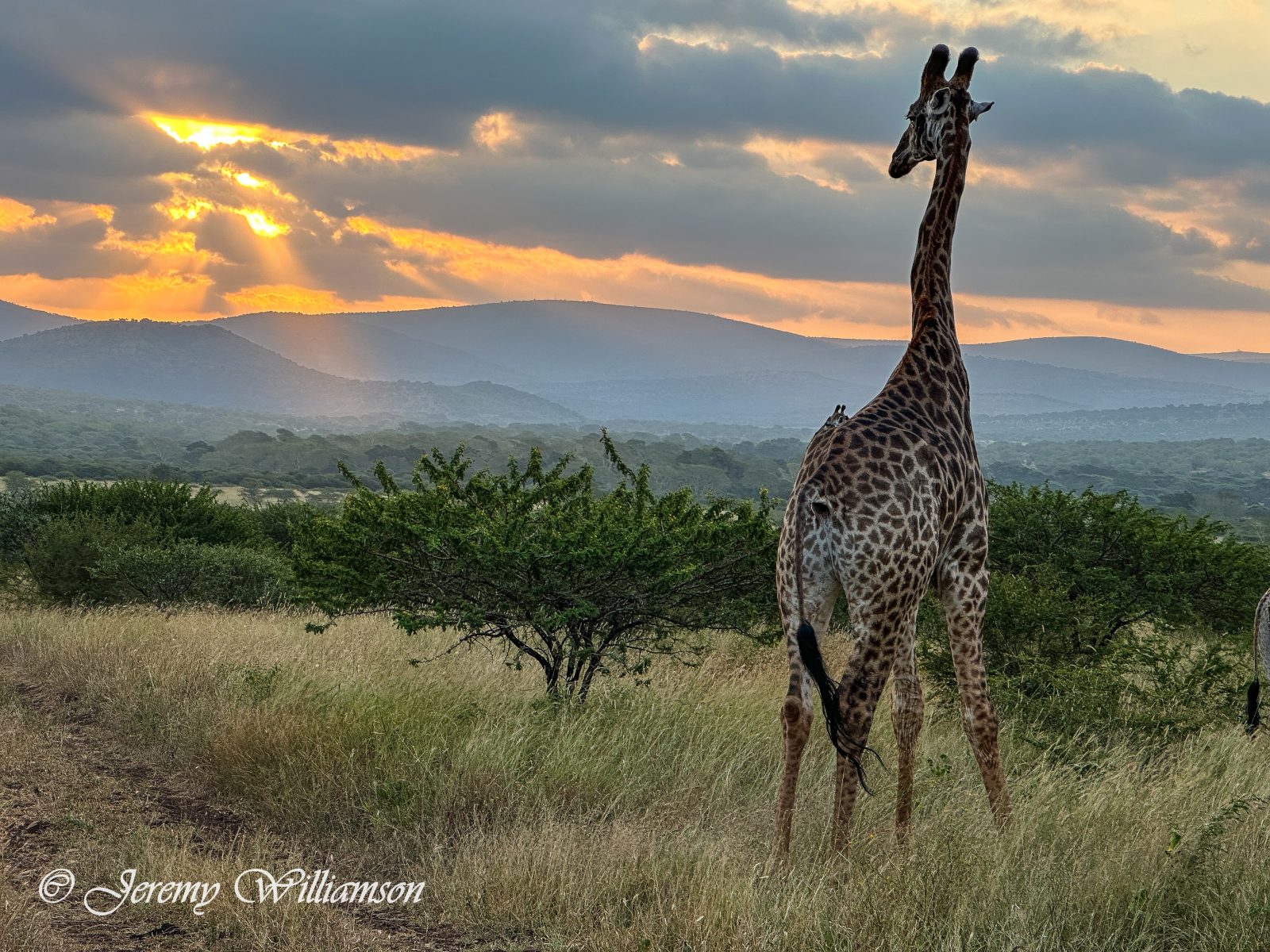 Far & Wild Safaris Cc