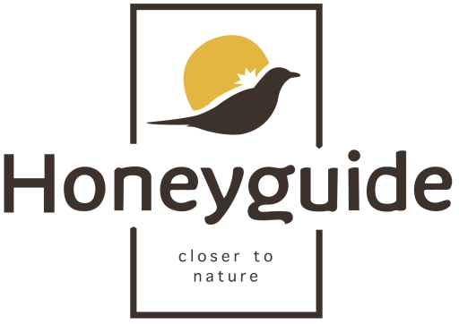 Honeyguide Mantobeni Safari Camp