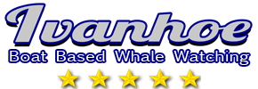 Ivanhoe Sea Safaris