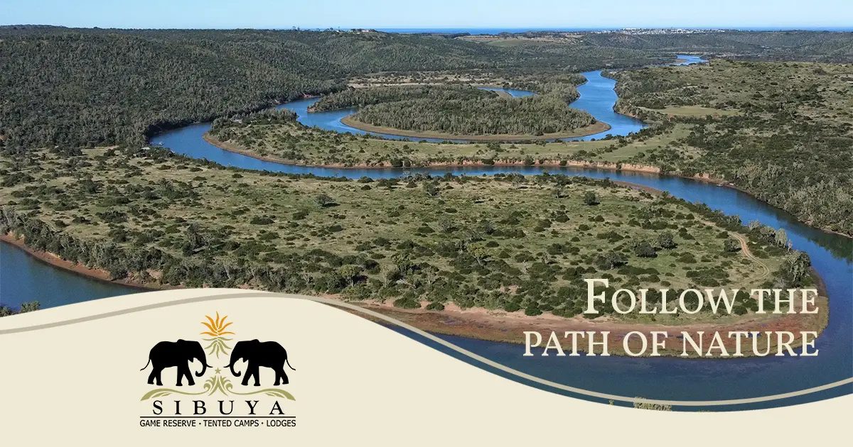 Sibuya Game Reserve (Pty) Ltd