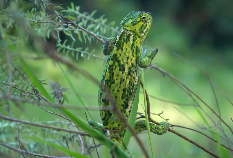 Umgeni Valley Nature Reserve
