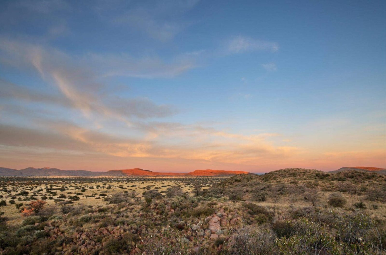 Tswalu Kalahari Reserve:Stables