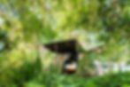 Wild Spirit Lodge