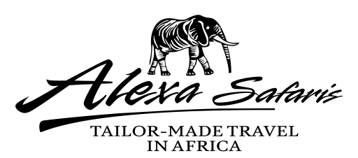 Alexa Safaris