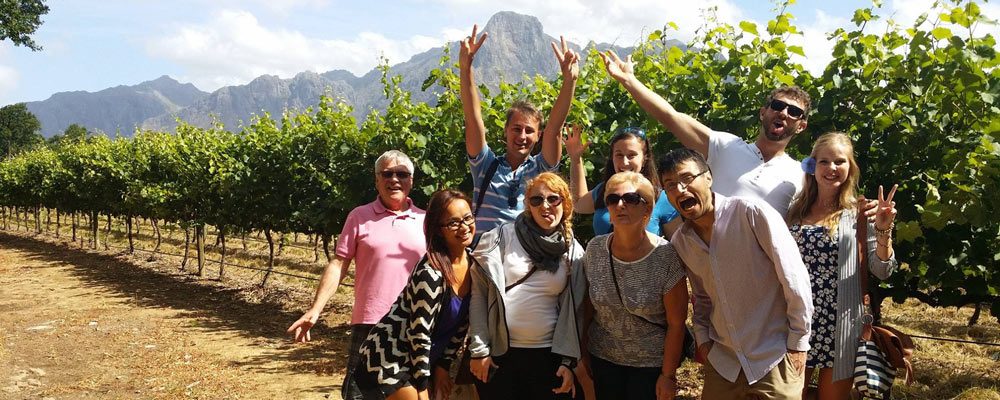 Cape Wine Tours