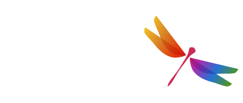 Dragonfly Africa