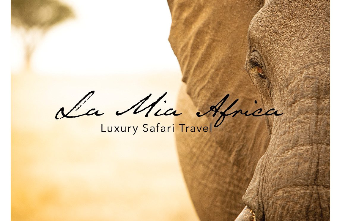 La Mia Africa - Overlanding Tours & Safaris