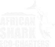 African Shark Eco-Charters