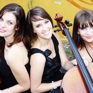 Play Live Classical Music
