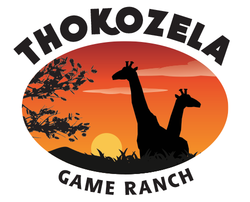 Thokozela Resorts & Lodges