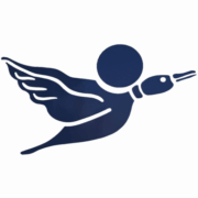 Everest Sports