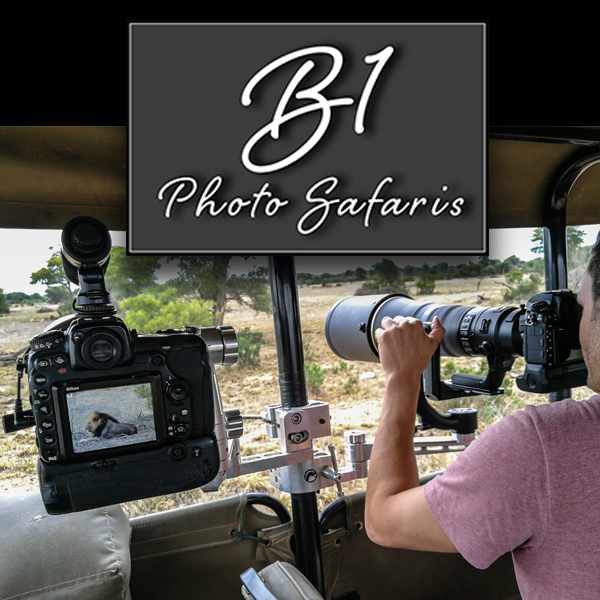 B1PhotoSafaris