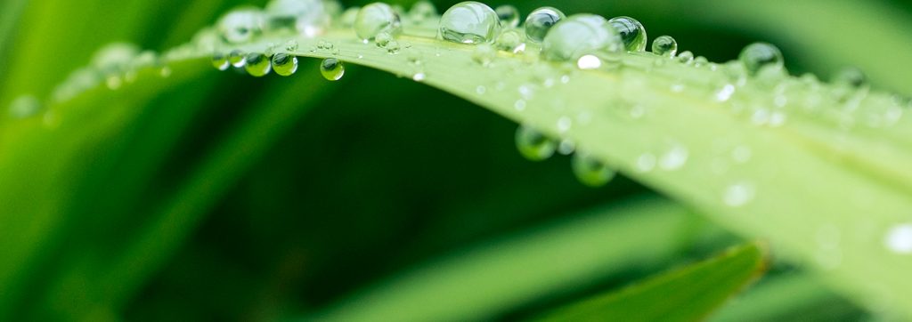 Cape Water Solutions