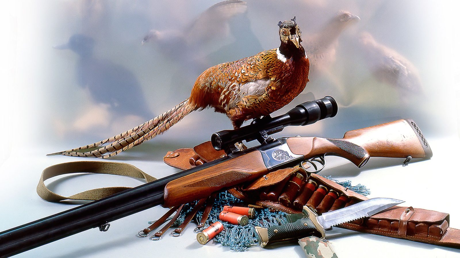 Kwazulu-Natal Hunting & Conservation Assn