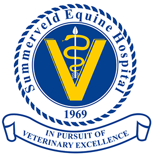 Summerveld Equine Hospital