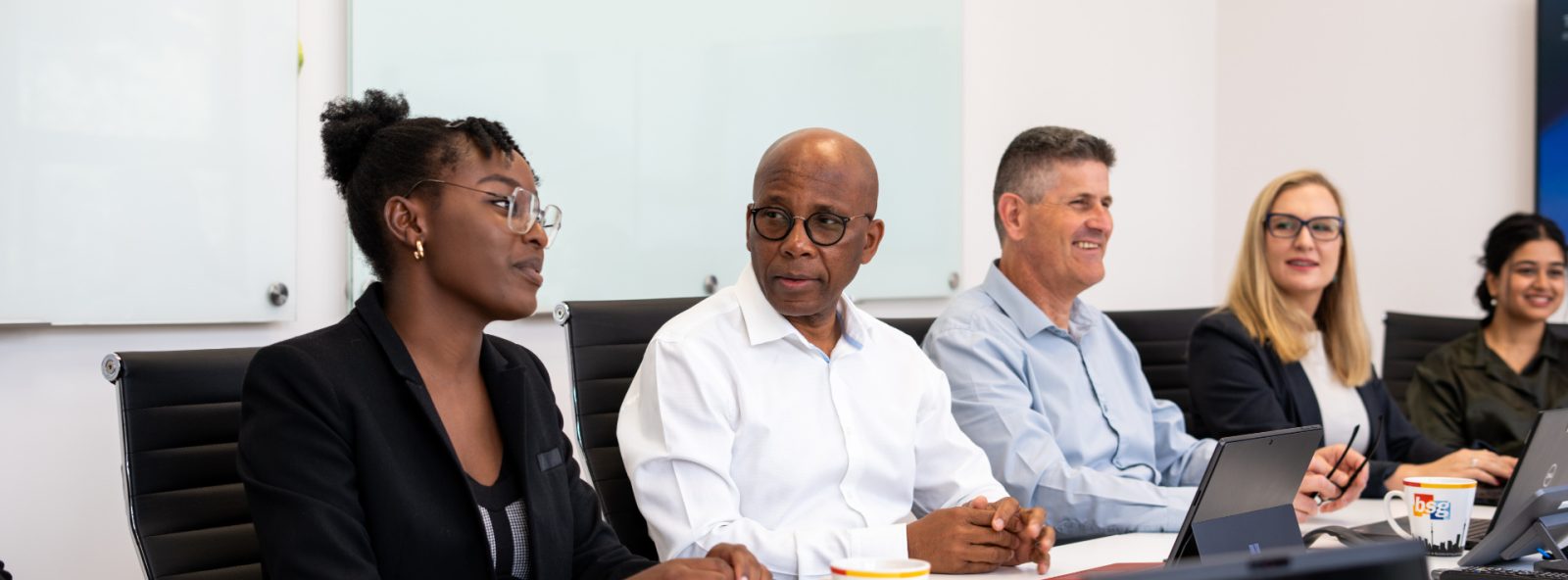 Business Systems Group (Africa) (Bsg)