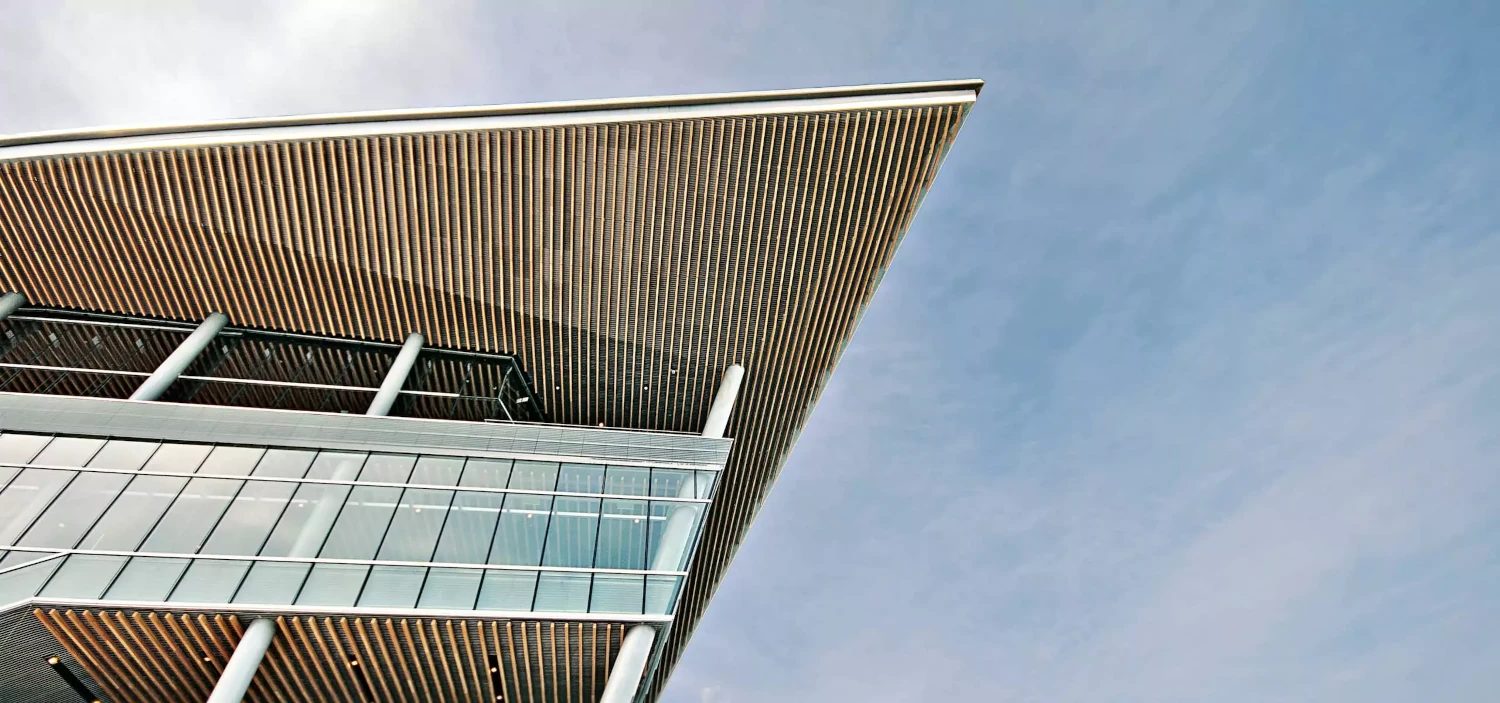 Cape Debt Advisor Services