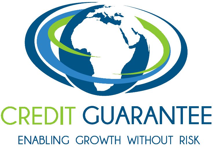 Credit Guarantee Insurance